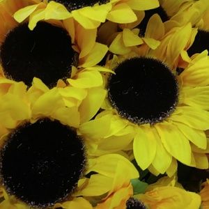 Meet your Posher, Claire